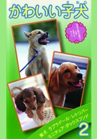 かわいい子犬vol.2　柴犬､ﾗﾌﾞﾗﾄﾞｰﾙ･ﾚﾄﾘﾊﾞｰ､ﾐﾆﾁｭｱ･ﾀﾞｯｸｽﾌﾝﾄﾞ